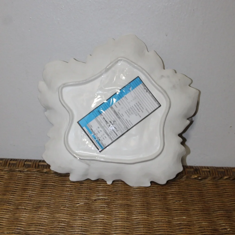 Williams Sonoma Stoneware Oka Dinnerware.  Set of 2.  Open Box.